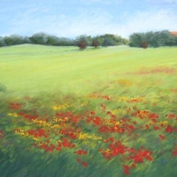 #485-On the Hill,Tuscany-16×34