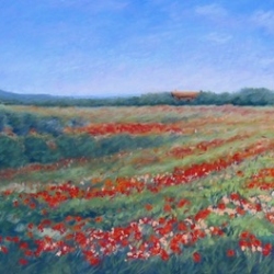 #489-Wildflowers in Provence-14×34