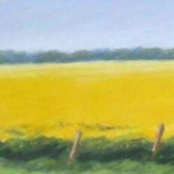 #505-A Field of Yellow, England-6×23
