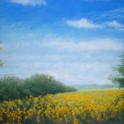 #552-The Field of Sunflowers-22×34