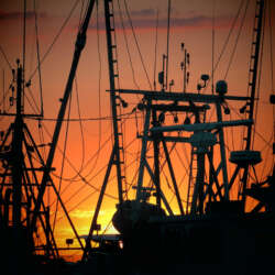 2 Sunset @ Boat Dock