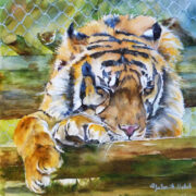 GALINA MELNIK Shh… Tiger is Sleeping Watercolor 12”x12” 20”x20”